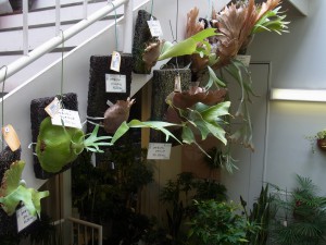 RIMG0677